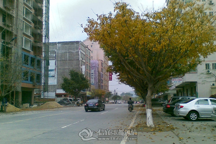 20120305_1.jpg