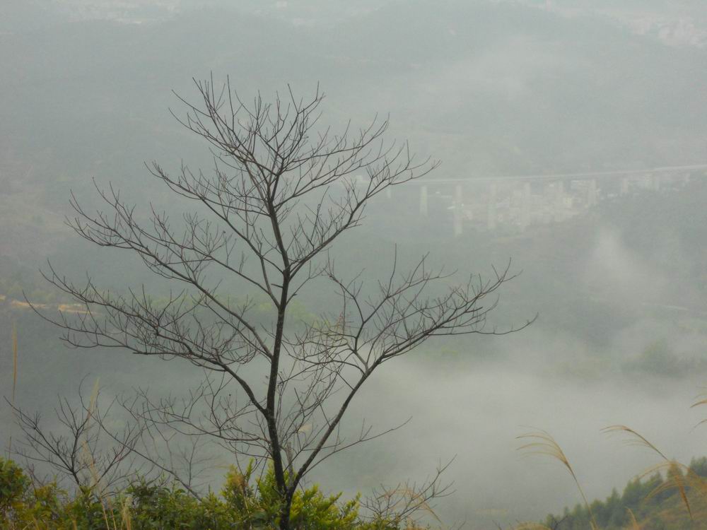 DSCN1425.JPG