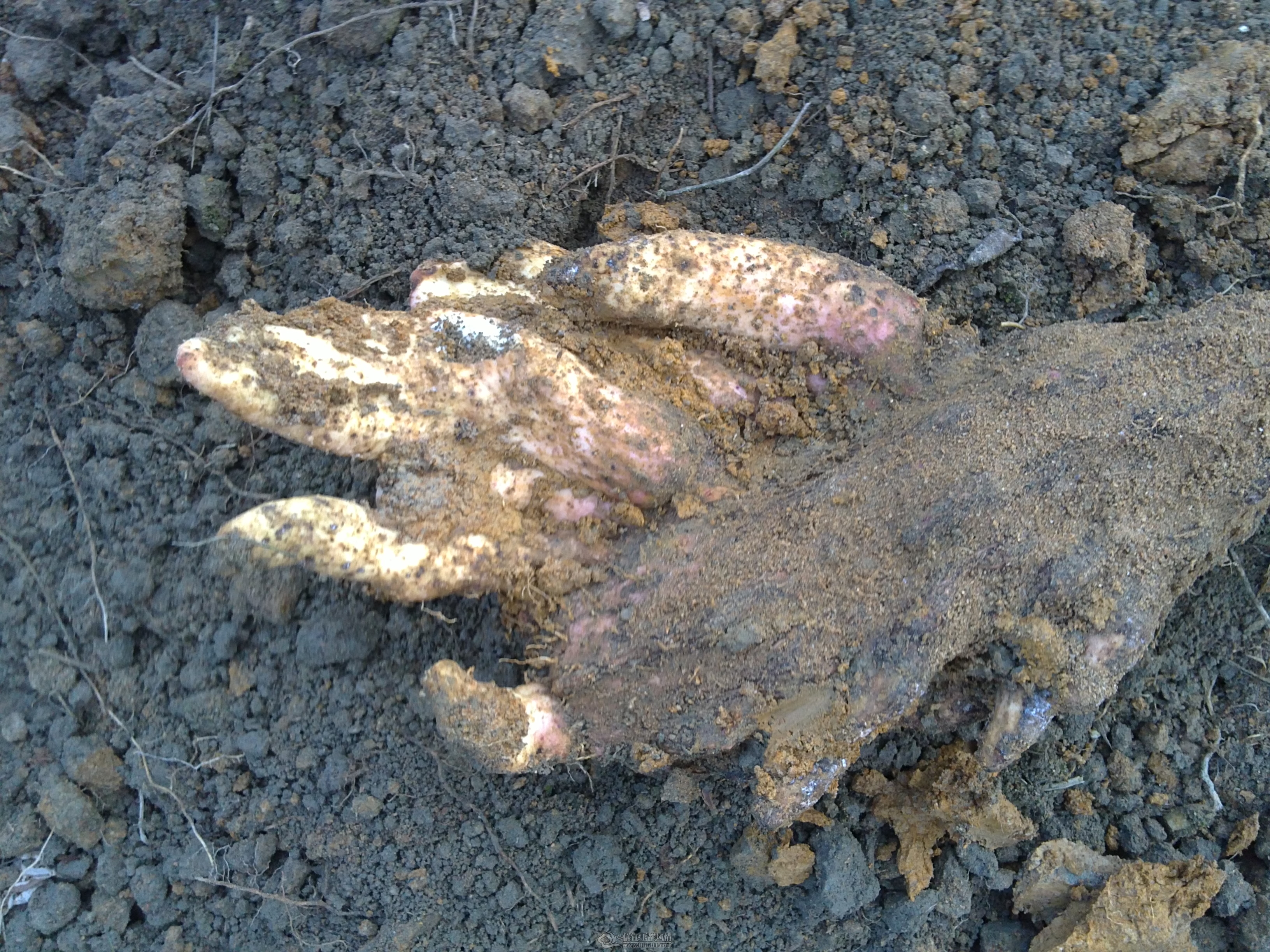 20120117183.JPG