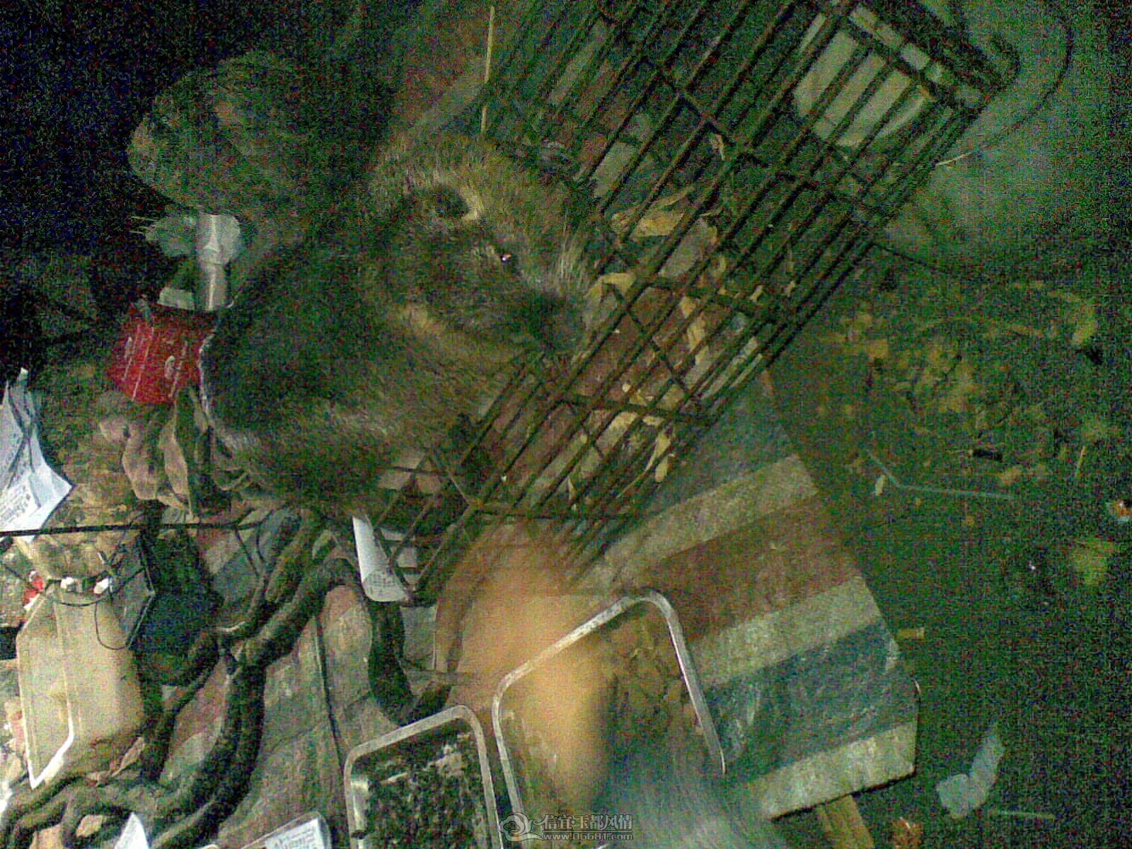 20120324.jpg