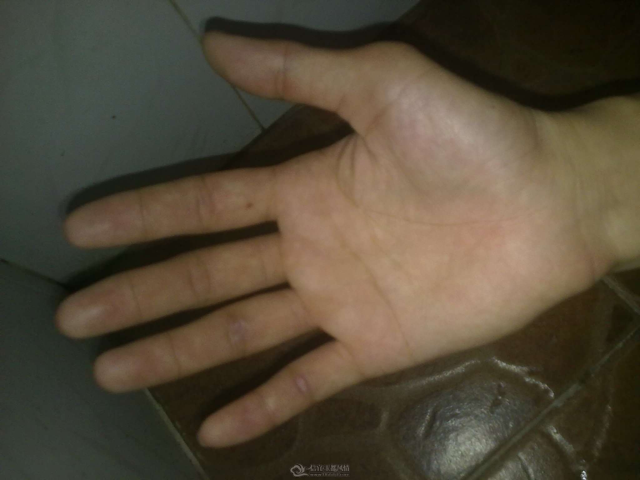 20120326969.jpg
