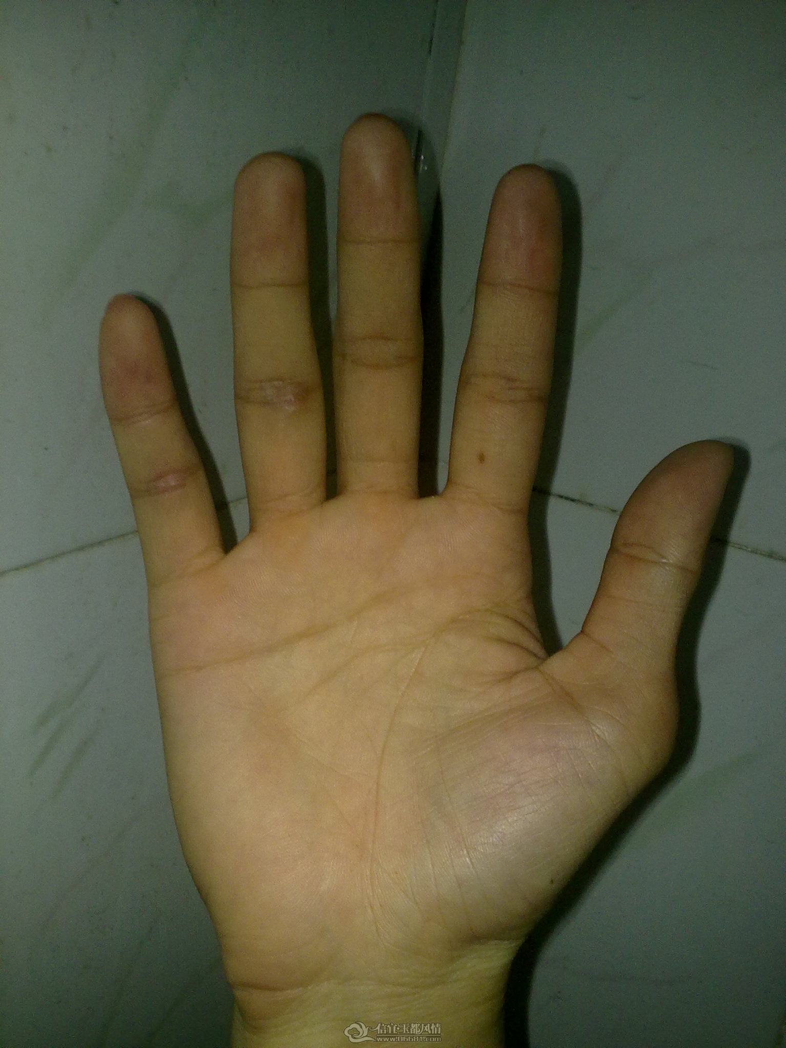 20120326972.jpg