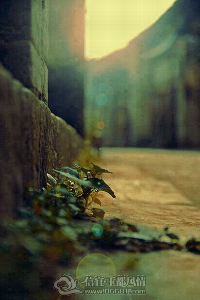 adaf2edda3cc7cd9a3d04a603901213fb90e918d.jpg