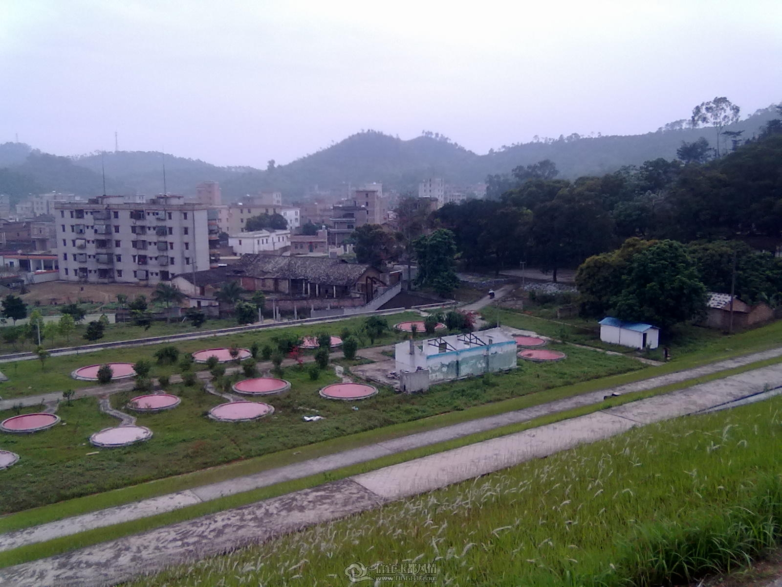 20120404117.jpg
