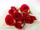 u=350361046,2667016034&fm=0&gp=0.jpg