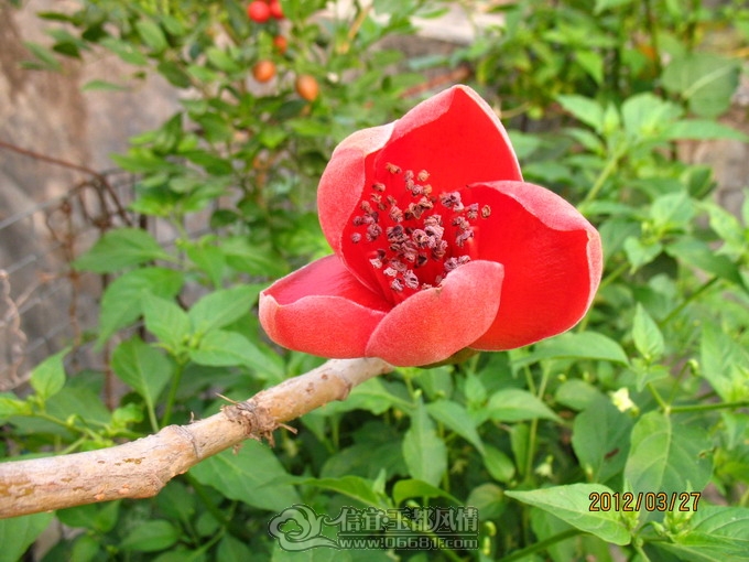2012-03-27 048.jpg