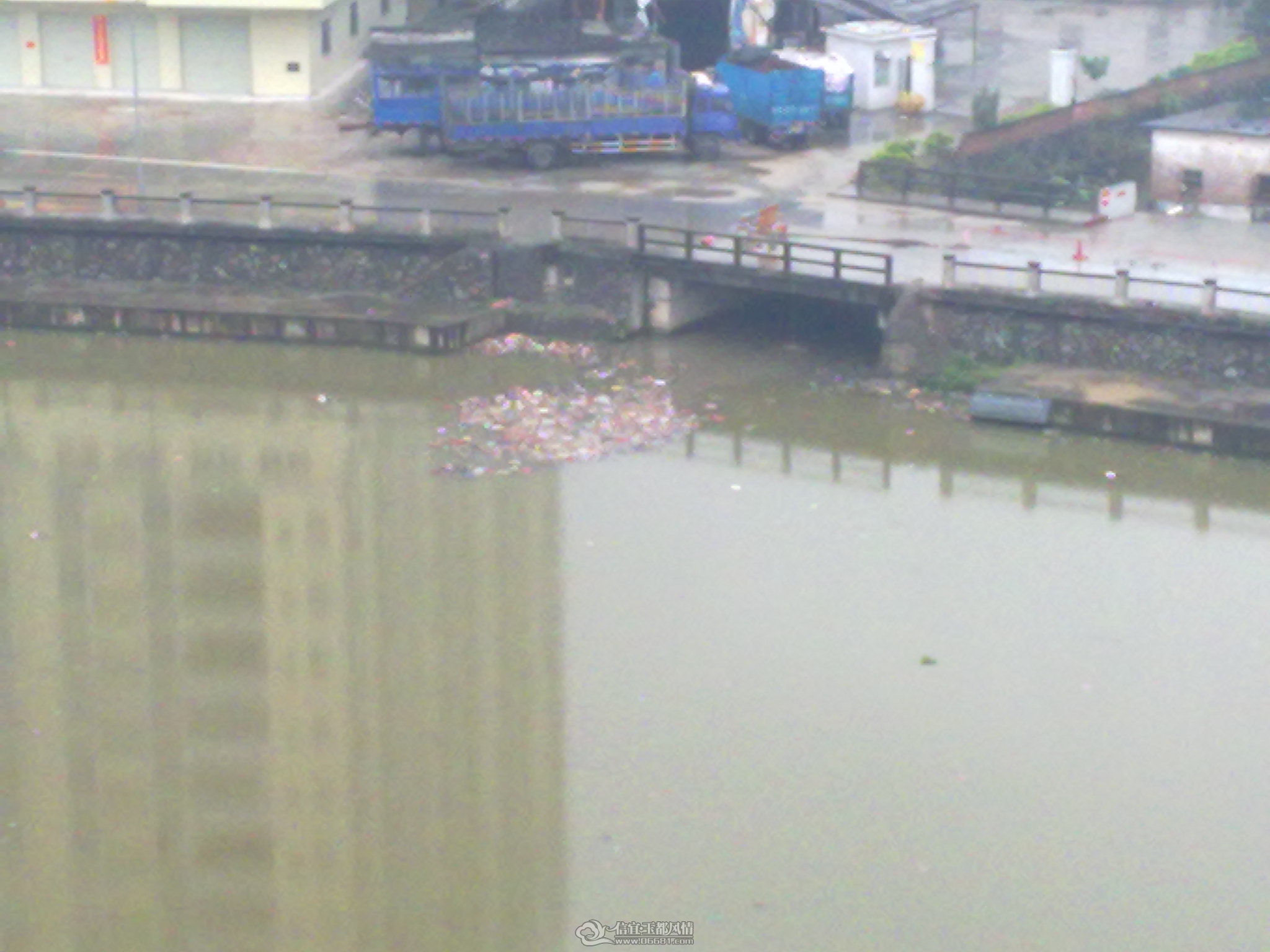 20120405165.jpg