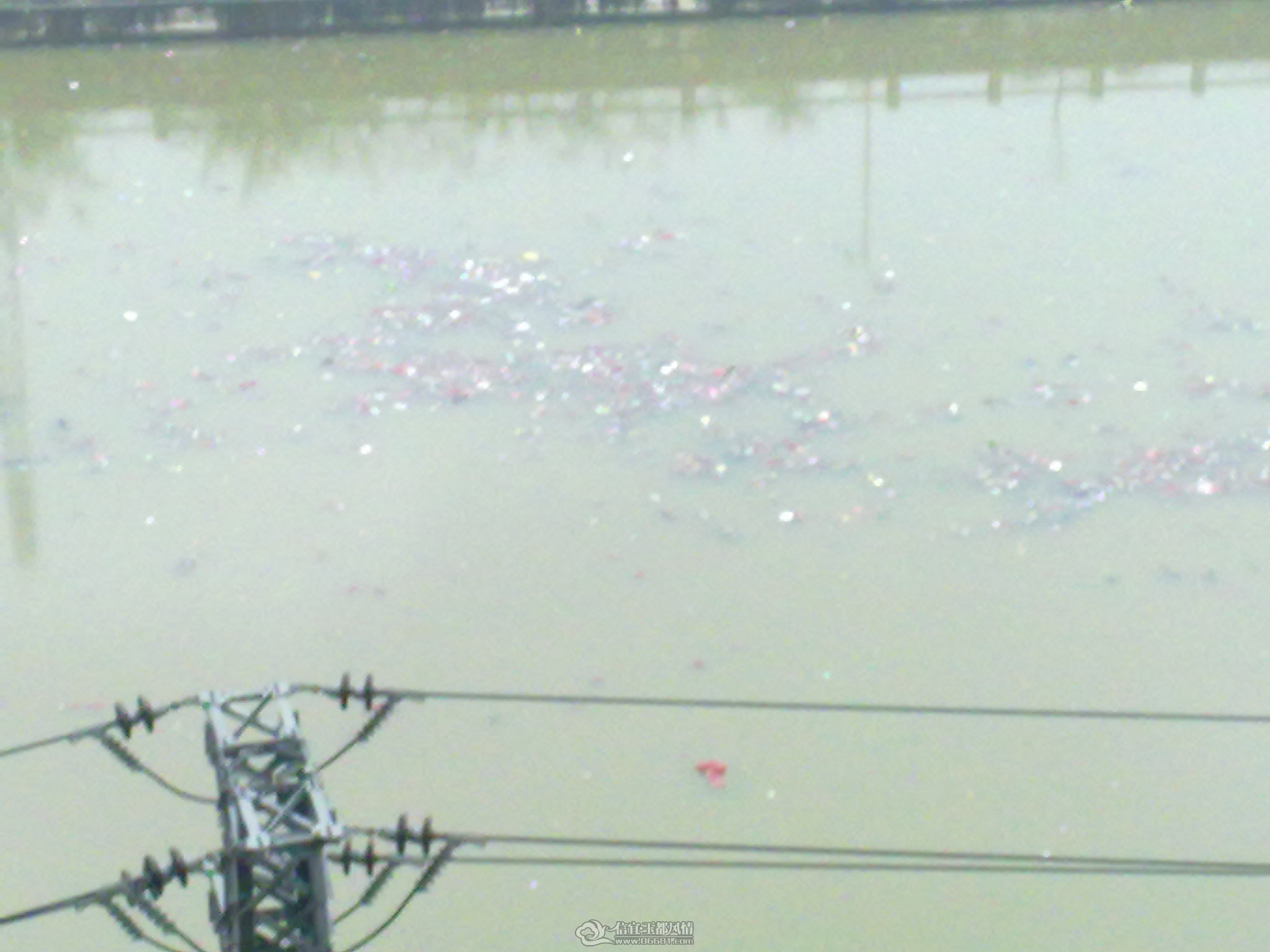 20120405166.jpg
