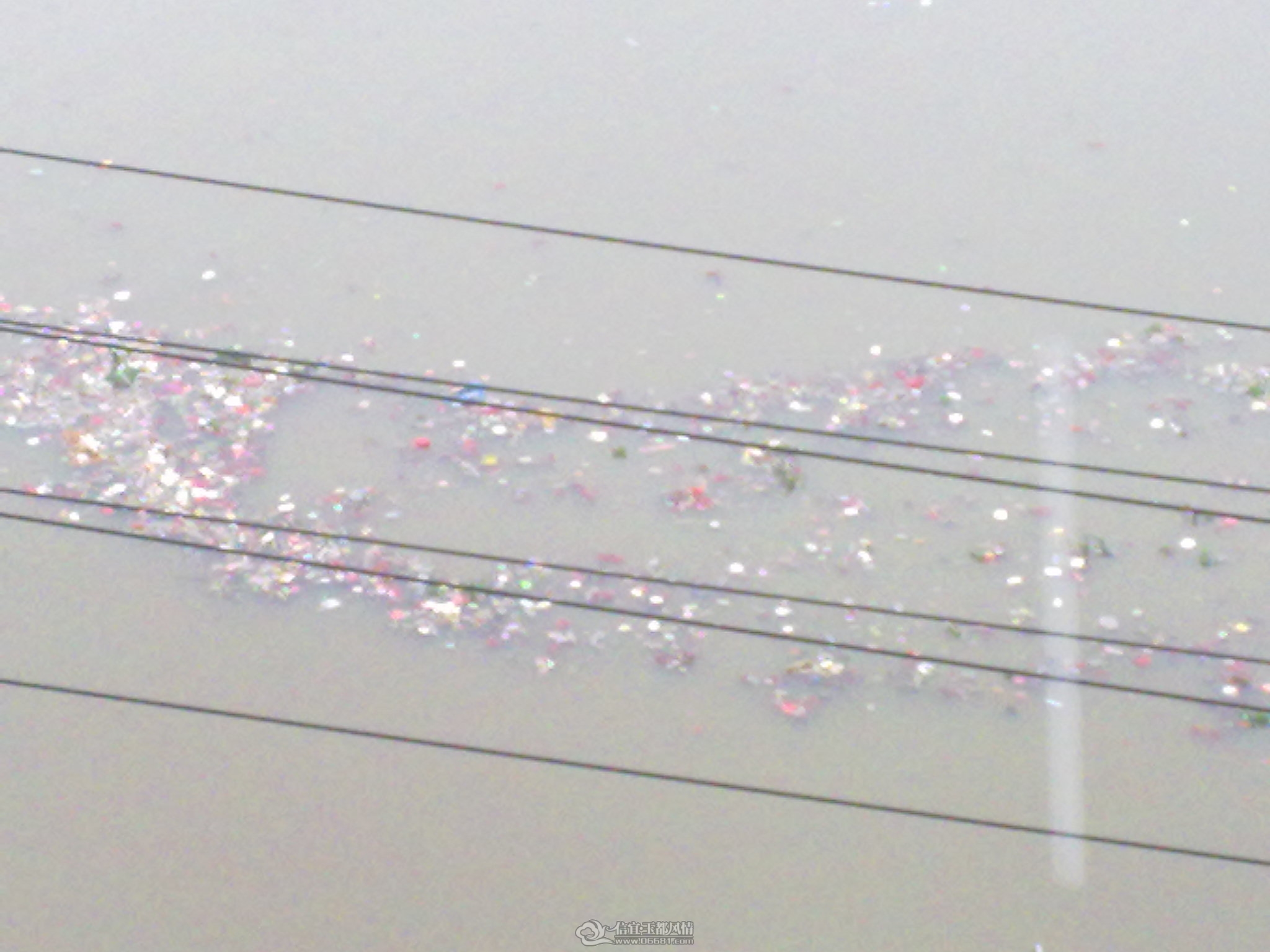 20120405168.jpg
