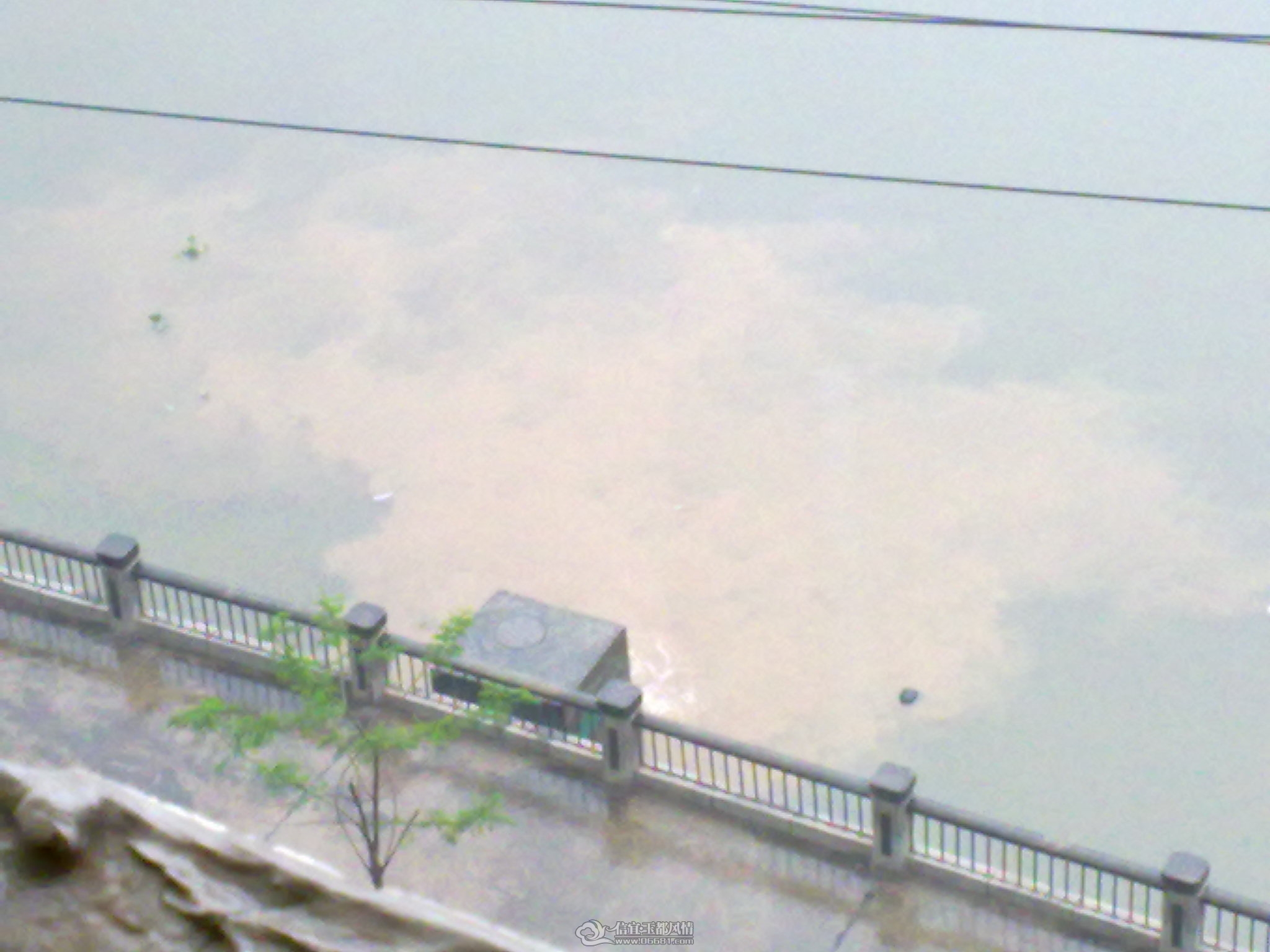 20120405173.jpg