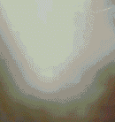 183247d2d8jo2g1oogn44g.gif