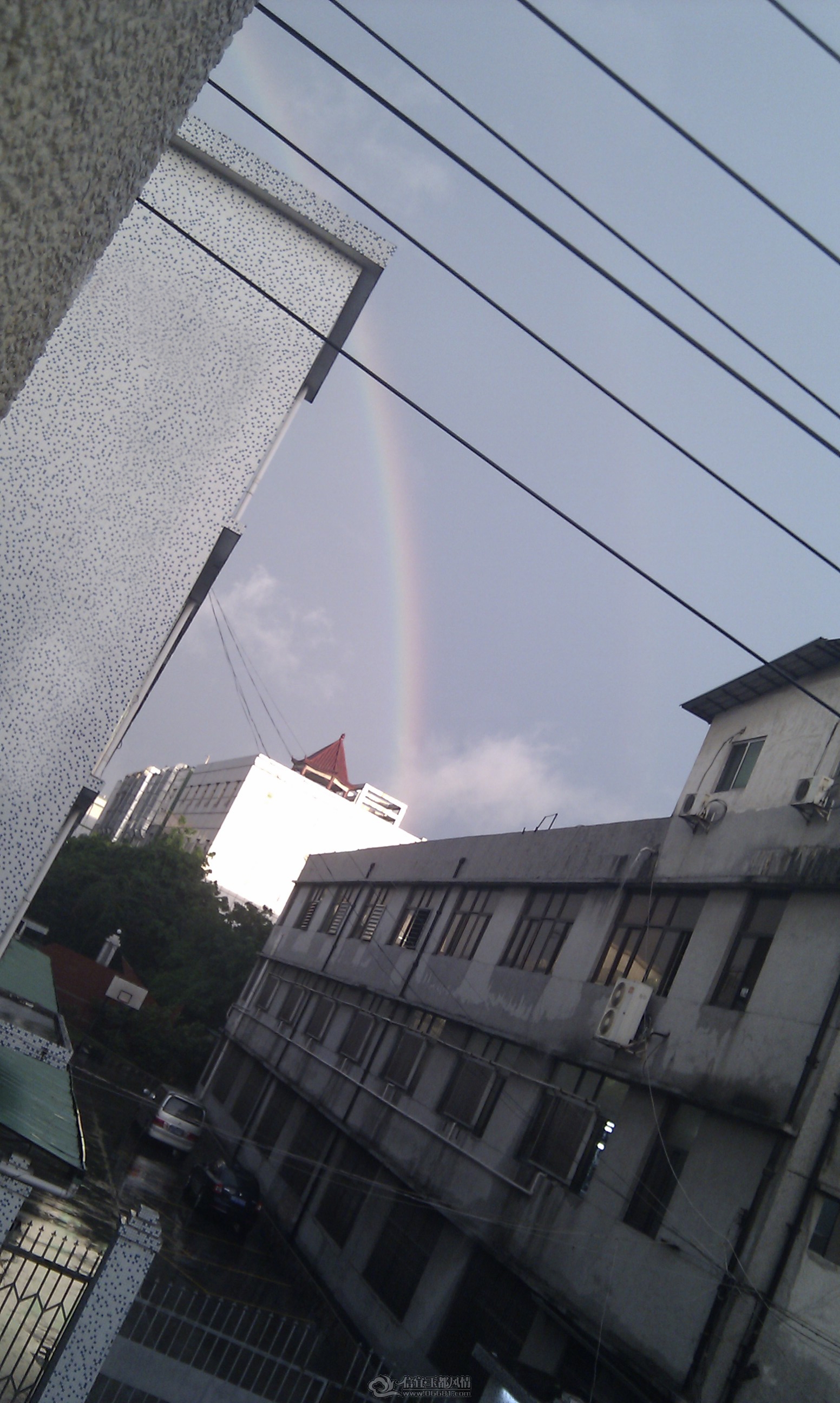 IMAG0055.jpg