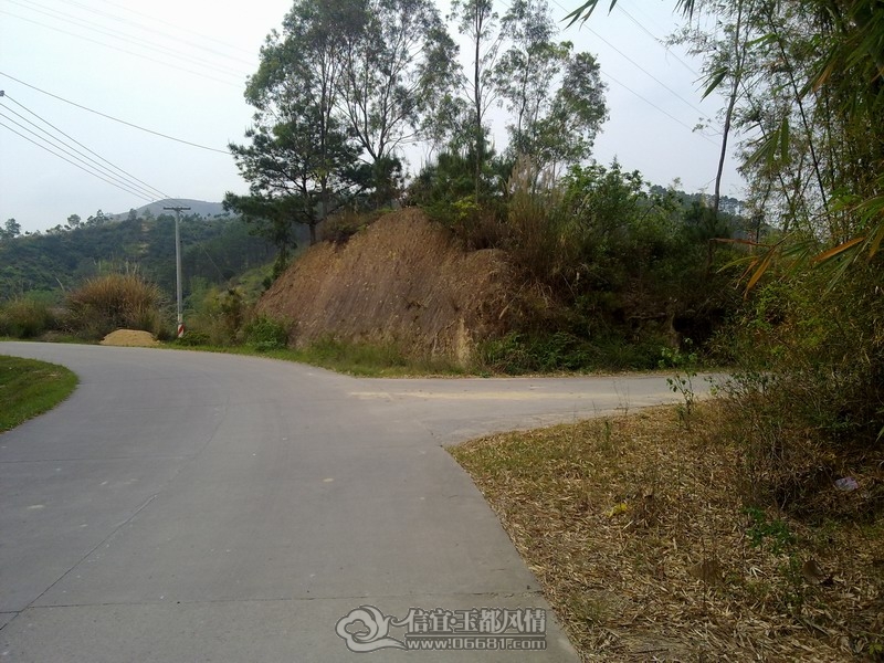 20120402236.jpg