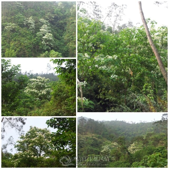 MA201204140923270098-53-000000.jpg