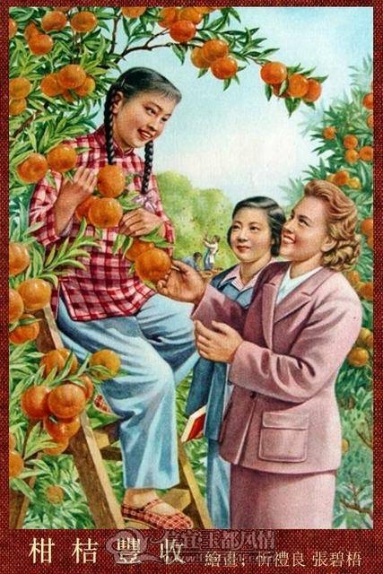 20122170_29.jpg
