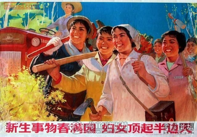 17712547_117.jpg
