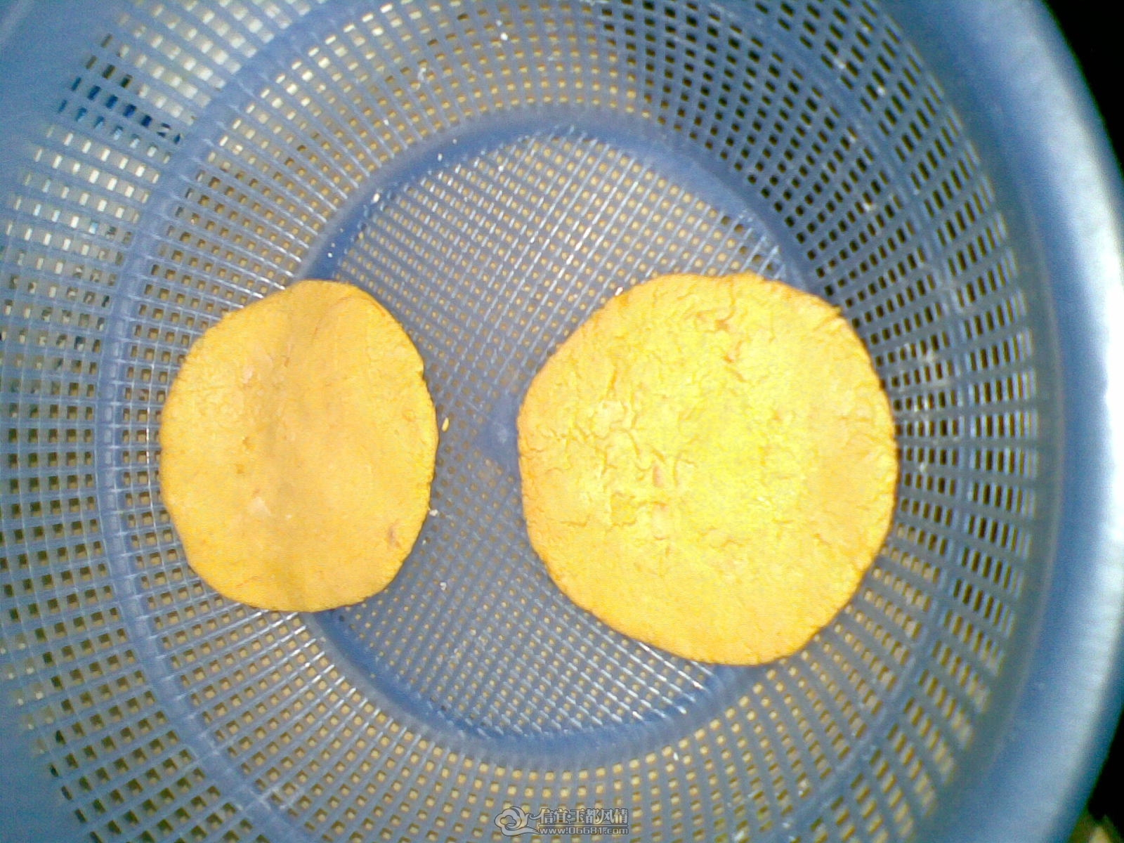 20120422.jpg