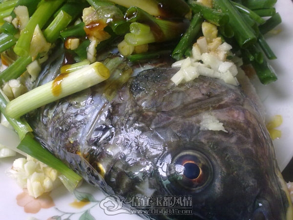 201204074119.jpg