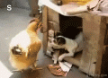http_imgload.gif