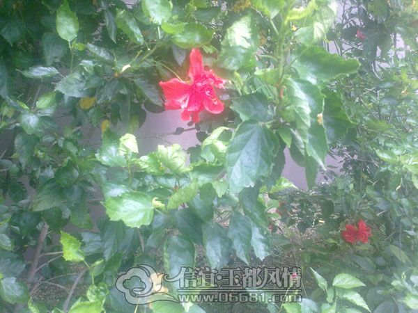 ���� 201205014169.jpg