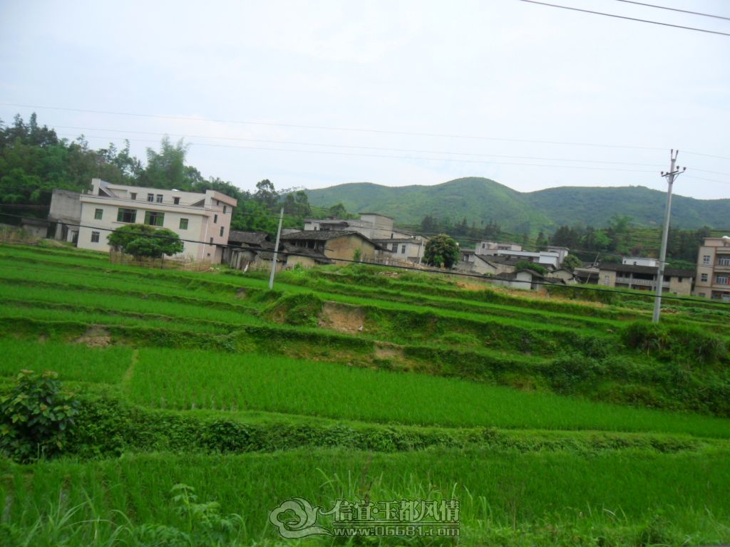 SAM_7294.JPG
