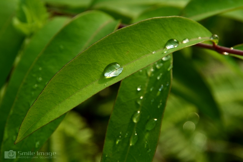 DSC_7830.jpg