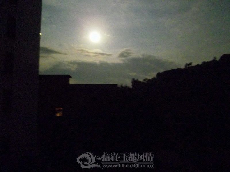 IMGP4115_����_����.jpg