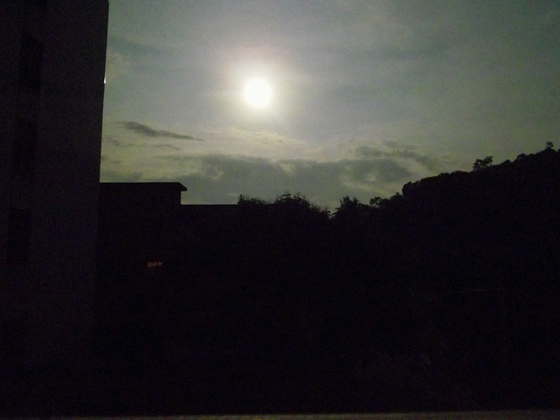 IMGP4122_����_����.jpg