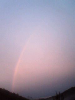 IMG0050A.jpg