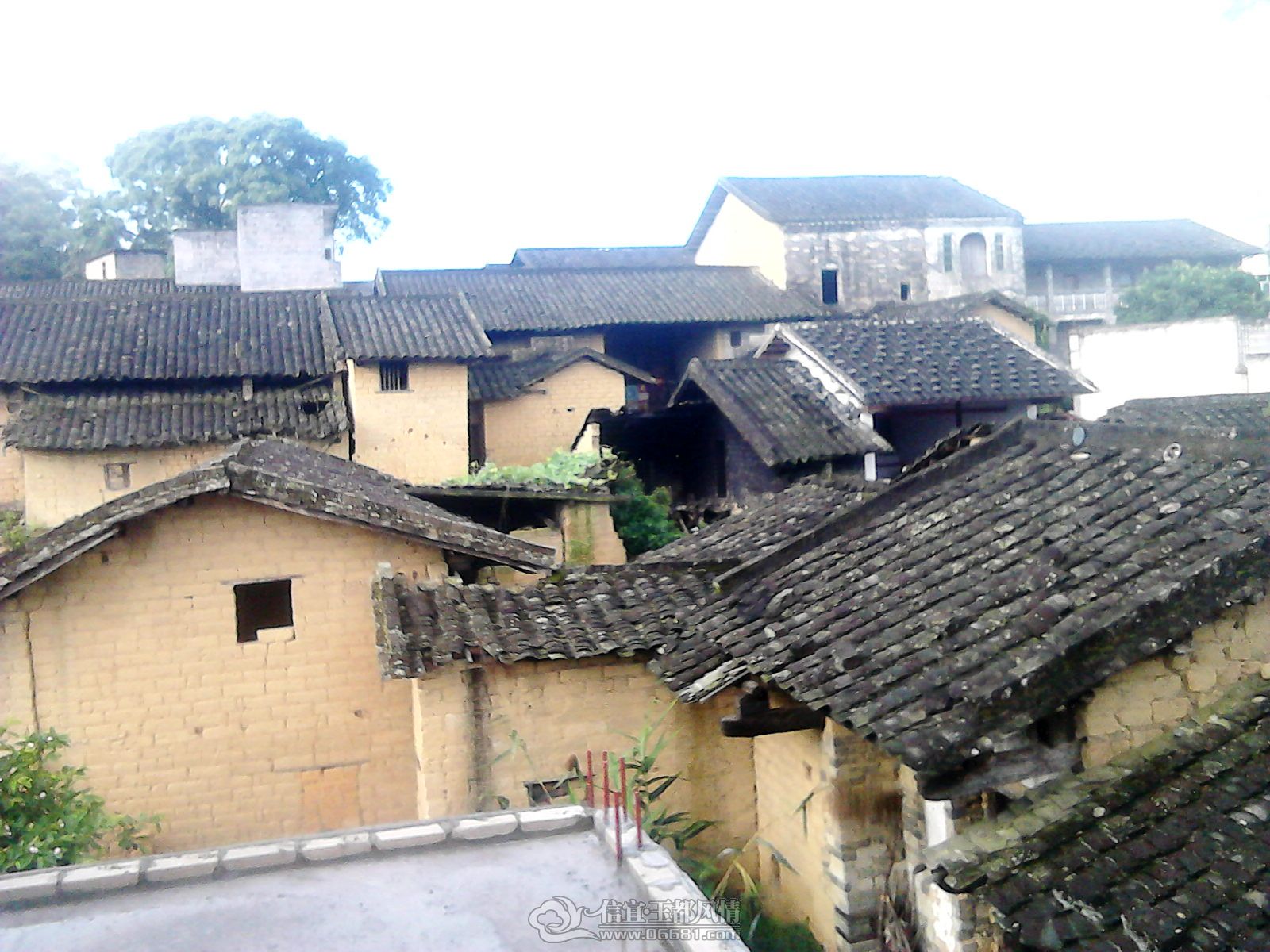 20120507_0750_1.jpg