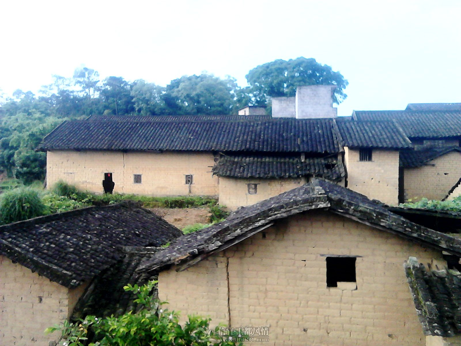 20120507_0750_2.jpg