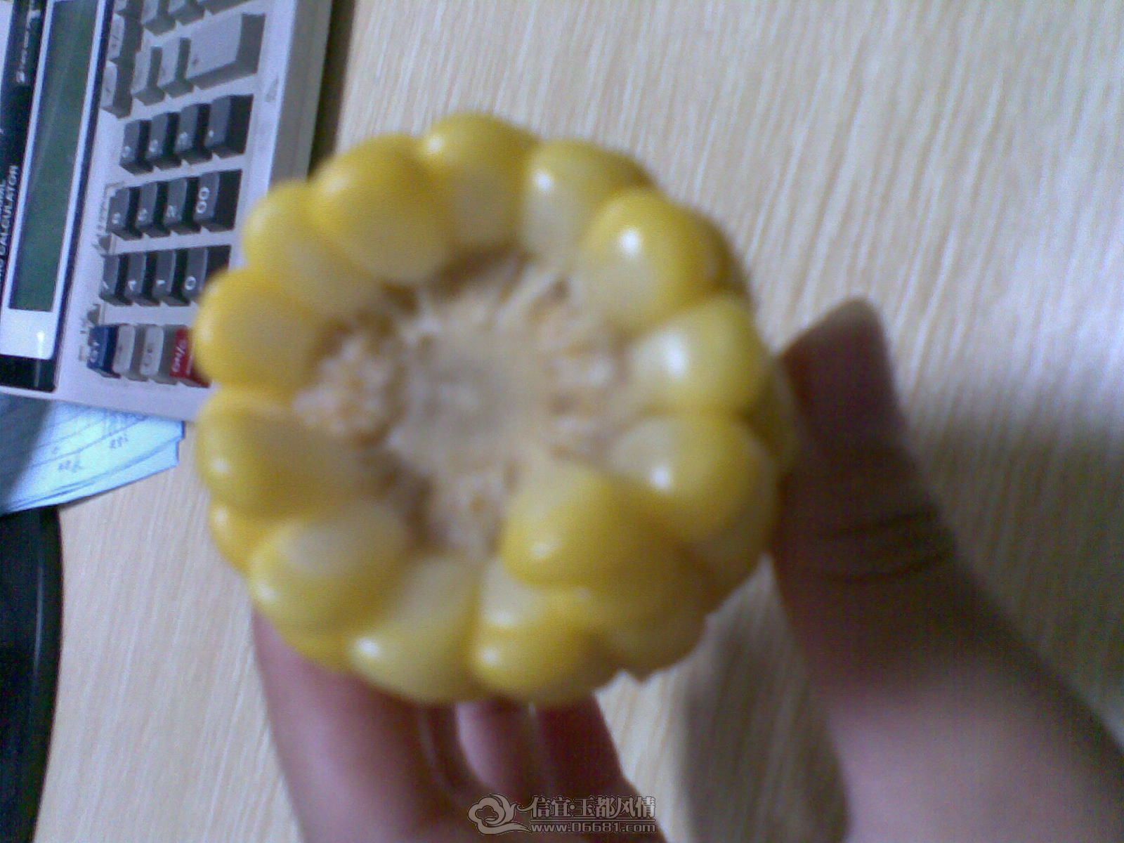 20120512.jpg