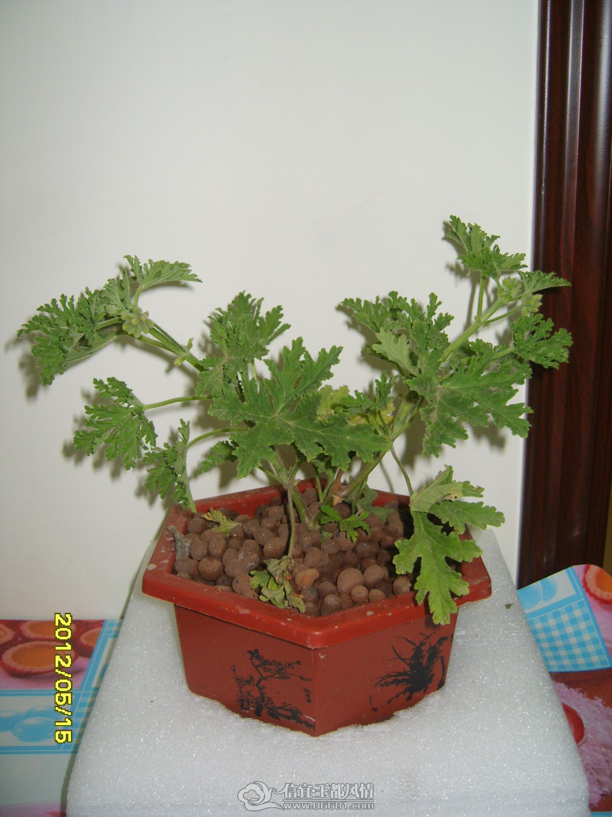 S8300923.JPG