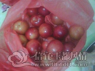 IMG0692A.jpg