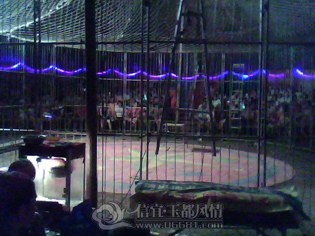 DSC_0000154.jpg