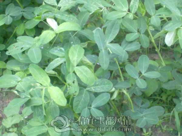 201205134300.jpg