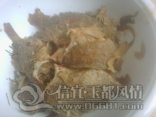 IMG0728A.jpg
