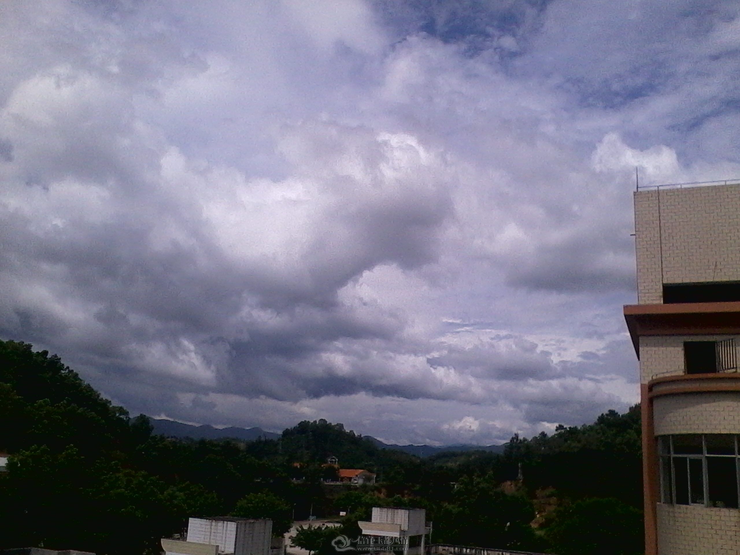IMG_20120529_142058.jpg