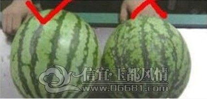 ��4.jpg