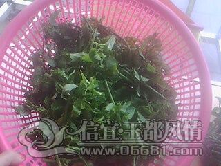 IMG0817A.jpg