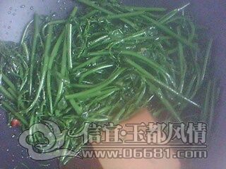 IMG0820A.jpg