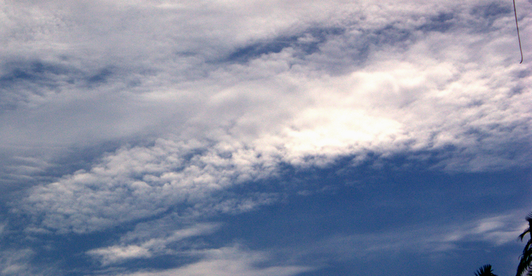 IMG_0021.jpg