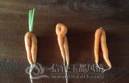 ��˵������Ů����Ů���ٸ���.jpg
