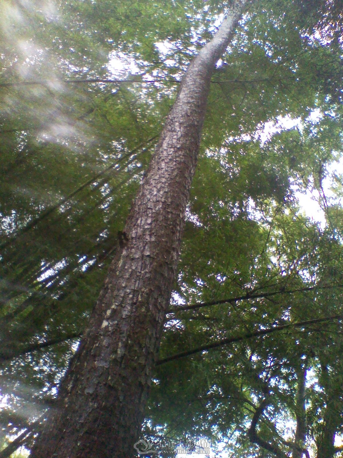 IMG_20120625_112103.jpg