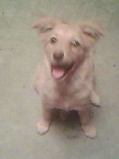 IMG0762A.jpg