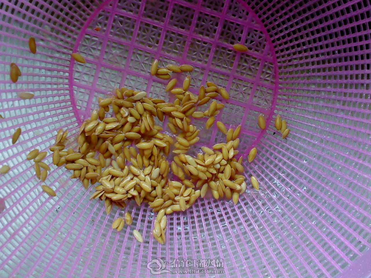 DSC01325.JPG