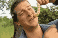 ����.gif