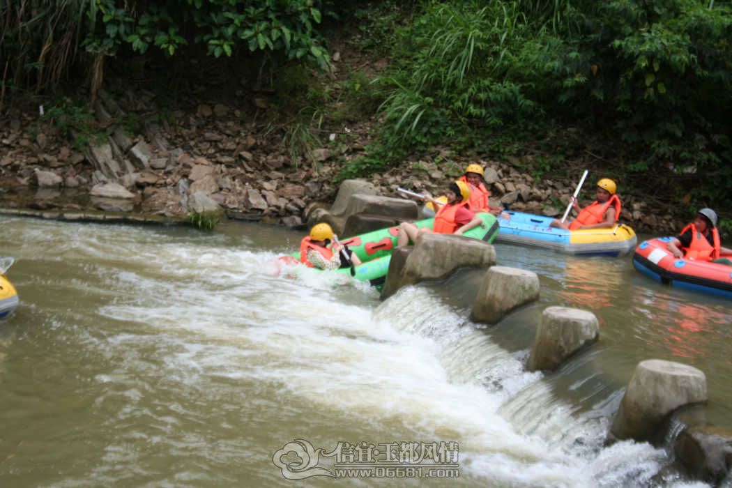 IMG_6584.jpg