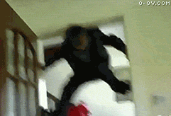 5d6034a85edf8db16c63beda0923dd54564e743b.gif