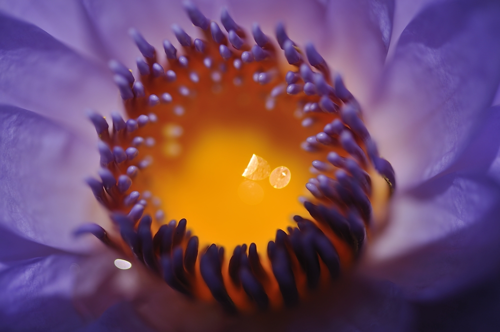 _D3S9022.JPG